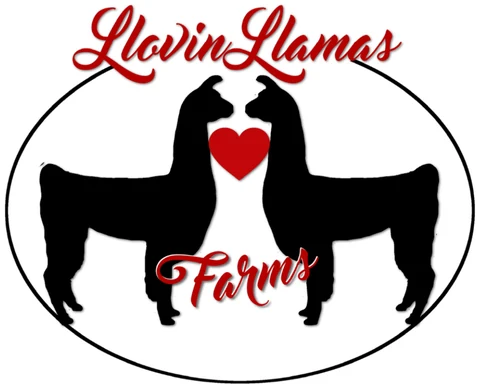 Llovin Llamas Farms